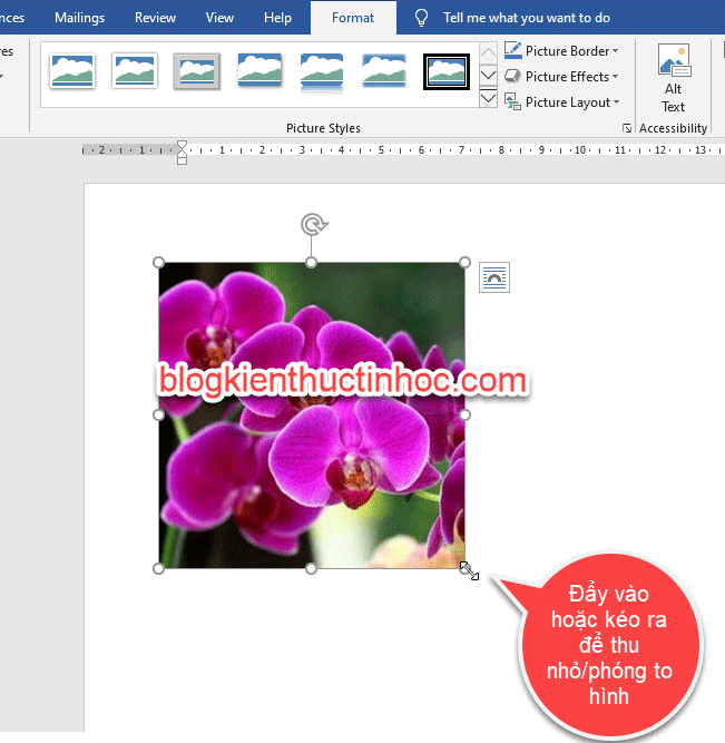 cach-phong-to-hinh-anh-trong-word