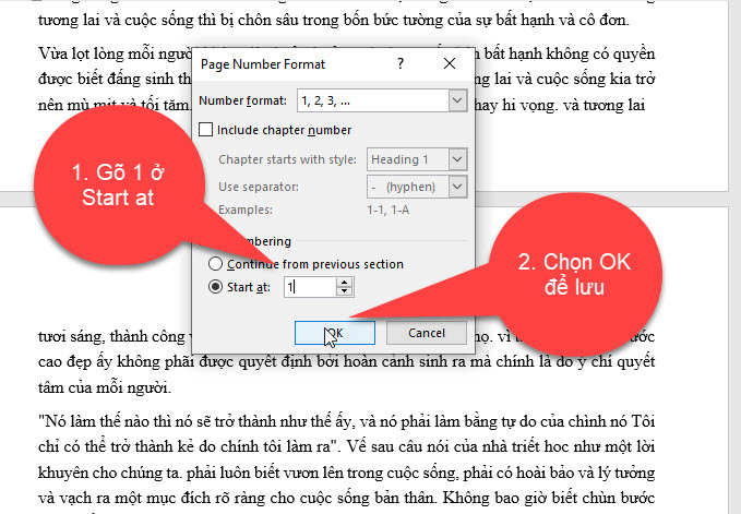 cách đánh số trang trong word