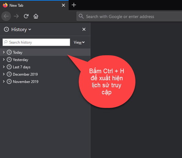 Bấm Ctrl + H để làm xuất hiện lịch sử truy cập